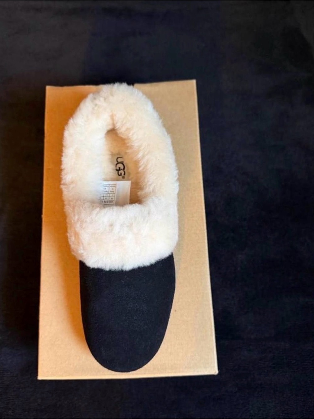 UGG Women's Black Suede Slipper with Cream Shearling Collar